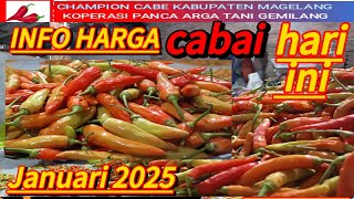 Info harga lelang cabai lokal!!Tanggal 5 Januari 2025 Kab. Magelang@Sariftanichannel6685