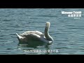 美麗華旅遊:巴爾幹半島‧亞德里亞海岸風情 11 天 EEBK11
