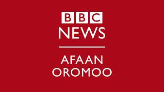 Oduu BBC Afaan Oromoo har'aa 15/05/2017 or 23/01/2025