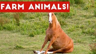 The Funniest Farm Animals Home Video Bloopers of 2017 Weekly Compilation | Funny Pet Videos