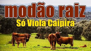 CAIPIRA MODÃO RAIZ - MODÃO RAIZ - AS MELHORES MODAS DE VIOLA CAIPIRA 🎶