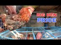 Big Chicken in the Market (Know Selling Price)