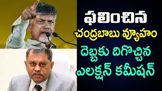 ఫలించిన చంద్రబాబు వ్యూహం.. దెబ్బకు దిగొచ్చిన SEC | Chandrababu Strategy Workouts | Telugu Today