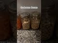 Ferment your veggies (good for gut health)!!! #cooking #diy #fermentation