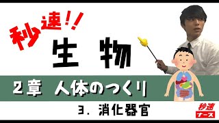 【秒速ナース】2-3消化器官【生物-授業動画】