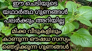 ഇനിയും ഇത് അറിയാതെ പോകരുത്/health tips/tips and tricks