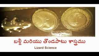 Balli Sastram / Lizard Science