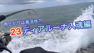 雨上がり シーバスが好みそうな波打ち際に投げたら本当にシーバスが⁈／23ディアルーナ入魂