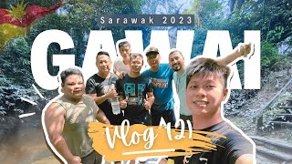 Vlog2 - Gawai Festival in Sarawak: Saratok Iban Longhouse - wild boar slaughter \u0026 Gawai food!