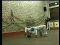 100% capoeira