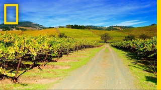 Photo Walk in Napa Valley | National Geographic