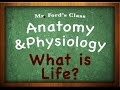 Introduction To Anatomy Physiology : Characteristics of Living Things (01:01)