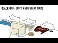 Bongo Cat - BLACKPINK "Don't Know What To Do" (K-POP)