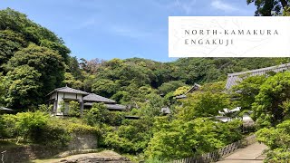 Engakuji [North-Kamakura]/ 円覚寺[北鎌倉]/ Vlog/Japan/ Temple