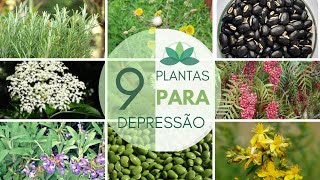 9 PLANTAS para depressão!