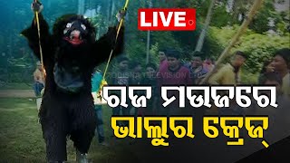 Live | ରଜରେ ଭାଲୁ ଖେଳୁଛି ଦୋଳି | Bear | Raja Festival | Raja Special | OTV