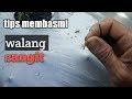 Petani cabe.Tips mengatasi walang sangit#15