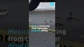 Mexico recovering from chaos after drug lord killing