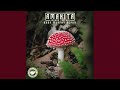 Jaguar The Kid - Amanita (Gary Murphy Remix) [Phonocat DJ Records]