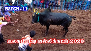 உலகம்பட்டி ஜல்லிக்கட்டு 2023 Part 11 | ULAGAMPATTY JALLIKATTU |Thangam tv