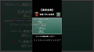 真核細胞と細菌の転写の相違点【108生物】イントロンとエキソンとは？