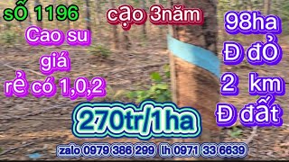 số 1196,cần sang nhượng 98ha,cao su cạo 3 năm, đất đỏ3 zan, 2km đường đất