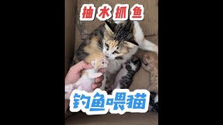 我今天直接抽水！终于把大鱼搞上来喂猫啦！！！#钓鱼王地狱猫