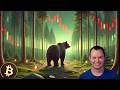 Bitcoin: Dubious Speculation