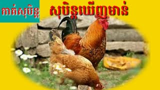 សុបិន្តឃើញមាន់ 🐣 🐔