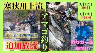 【愛知県アマゴ追加放流】寒狭川上流3回目＆最終回の追加放流🐟釣りガールななっぴ参加🎣