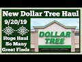 Huge Dollar Tree Haul 🤑 9/20/19 So Many New and Great Finds