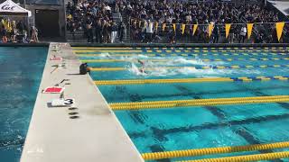 2025 UCLA vs Cal – Event 7 Women’s 50 Free – Heat 2