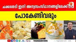 50 രൂപയ്ക്ക് വാങ്ങുന്നത് തിരികെ എത്തുമ്പോൾ 500 രൂപ വരെ