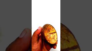 coconut shell spoon ( ചിരട്ട കൊണ്ടുള്ള തവി ) #craft #youtuber #youtubeshorts