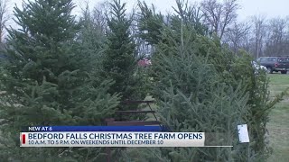 Download Mp3 Central Ohio tree farm takes theme from holiday classic