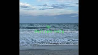 Neu Roses (Transgessor’s Song) x original recording