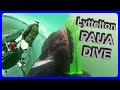 PAUA DIVE! and boating adventure in murky Lyttelton Harbour