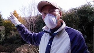 Fukushima Now: in the Aftermath of Nuclear Disaster