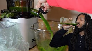 Beat Cravings and Parasites with Green Juice? My Day 13 Juice Fast Results!