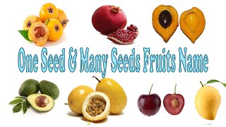 Learn Fruits Name | One Seed Fruit & Many Seeds Fruit | Toddlers | Kindergarten | Kids learning