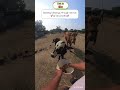 seeking blessings through gau seva feeding cows gomatha cow dung products panchagavya