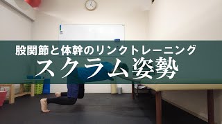 【ちょいトレ】股関節と体幹のリンクトレーニング　スクラム姿勢