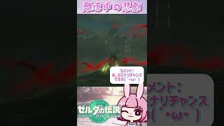 【 #ティアキン 】ちょっと離席しただけなのに🤣 #shorts #ゼルダの伝説 #vtuber