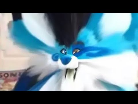 Oh The Misery But It S With Random Images I Have In My Camera Roll