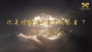 【心陽心靈筆記】你是經驗者 還是觀察者 ? 心陽\u0026念洛