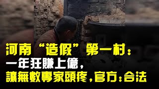 河南“造假”第一村:一年狂賺上億,讓無數專家頭疼,官方:合法