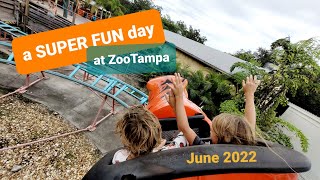 ZooTampa - SUPER FUN Day - June 2022