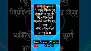 🌺🌿🌺কিছুদিন ভালোবাসা পেয়ে ভেবেছিলাম সব পেয়ে গেছি #shortsvideo #viralvideo #sadstatus