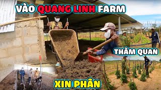 Công Cuộc Vào Quang Linh Farm Xin Phân Bò \u0026 Học Hỏi Kinh Nghiệm...