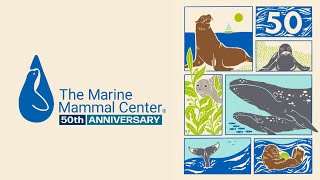 Seal-ebrating 50 Years